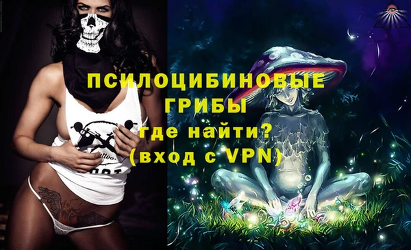 мдма Богородицк